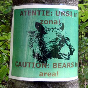 Avertizari pe copacii din valea Pelesului